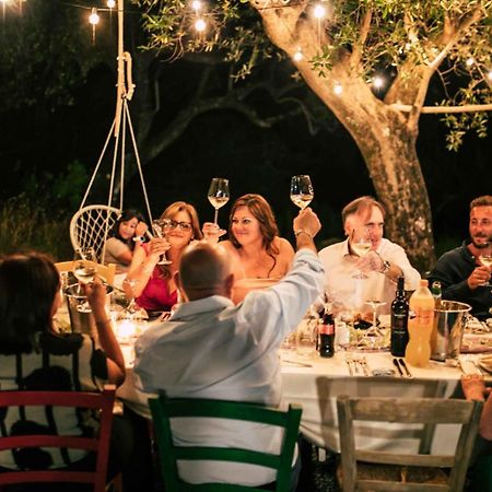 Tenuta Terre Di Bosco Oasi Di Relax Nel Cilento San Giovanni a Piro Exteriör bild