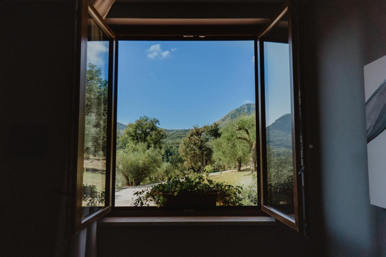 Tenuta Terre Di Bosco Oasi Di Relax Nel Cilento San Giovanni a Piro Exteriör bild