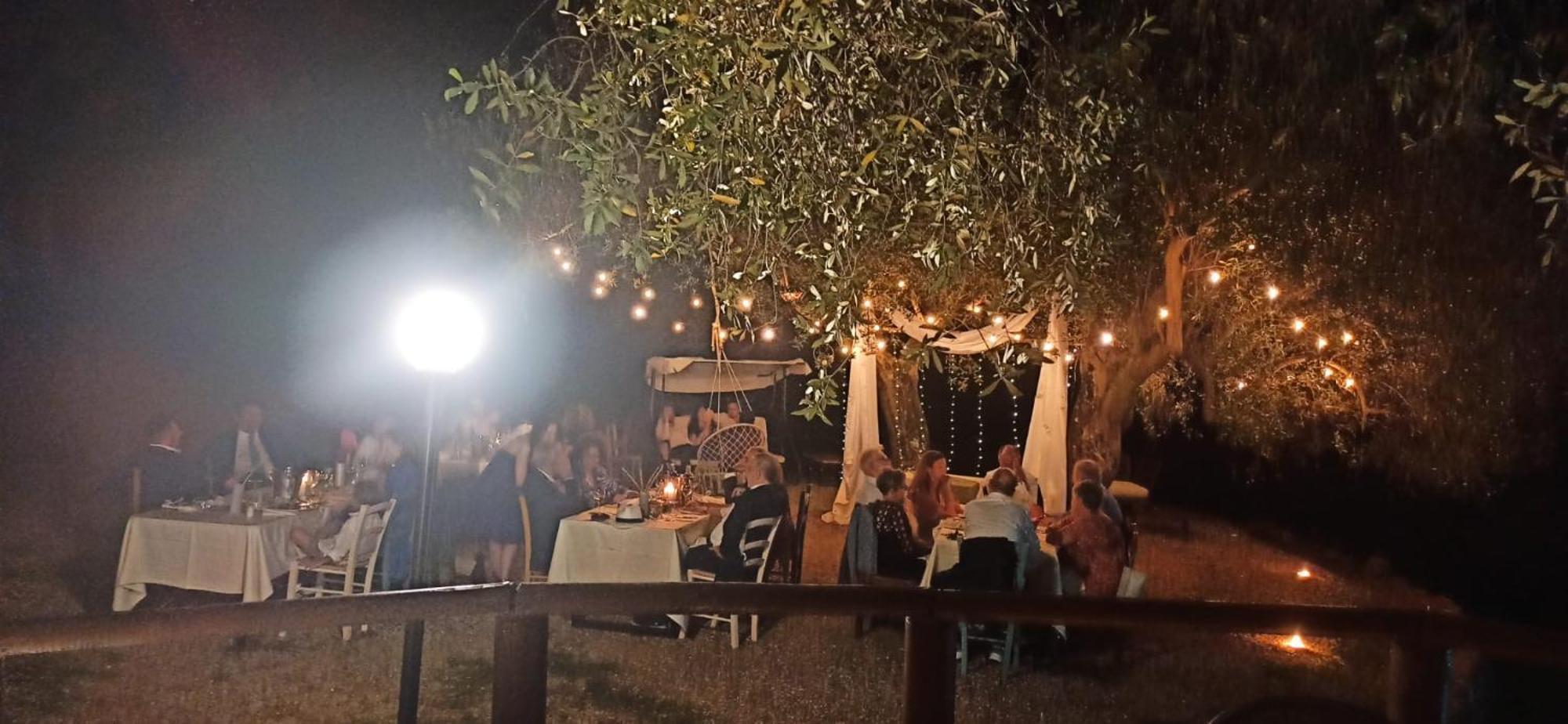 Tenuta Terre Di Bosco Oasi Di Relax Nel Cilento San Giovanni a Piro Exteriör bild