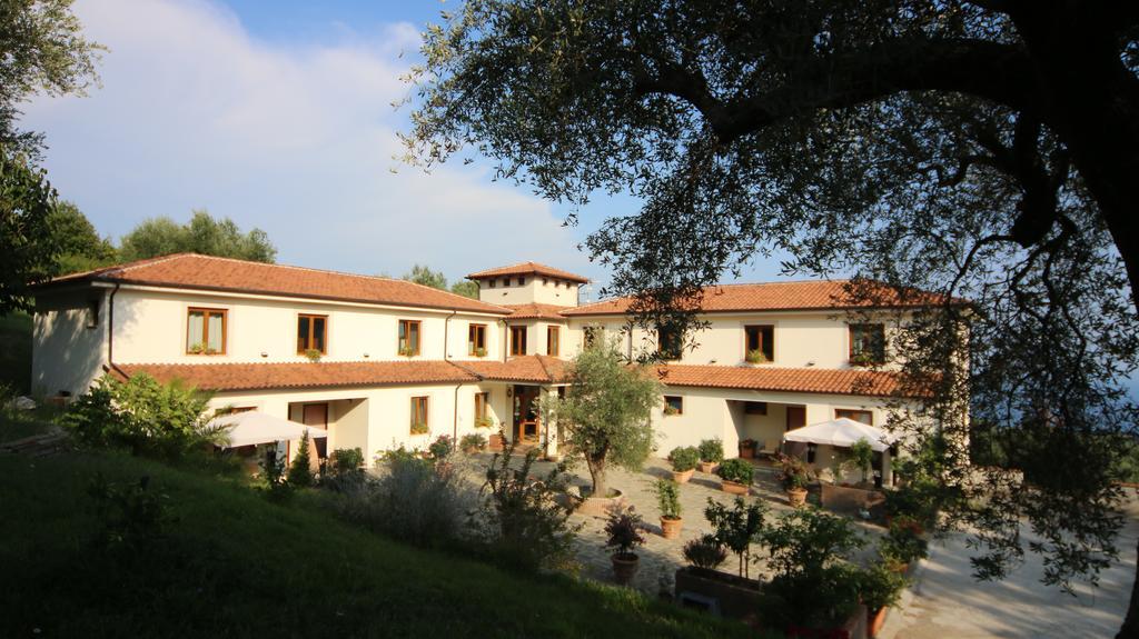 Tenuta Terre Di Bosco Oasi Di Relax Nel Cilento San Giovanni a Piro Exteriör bild