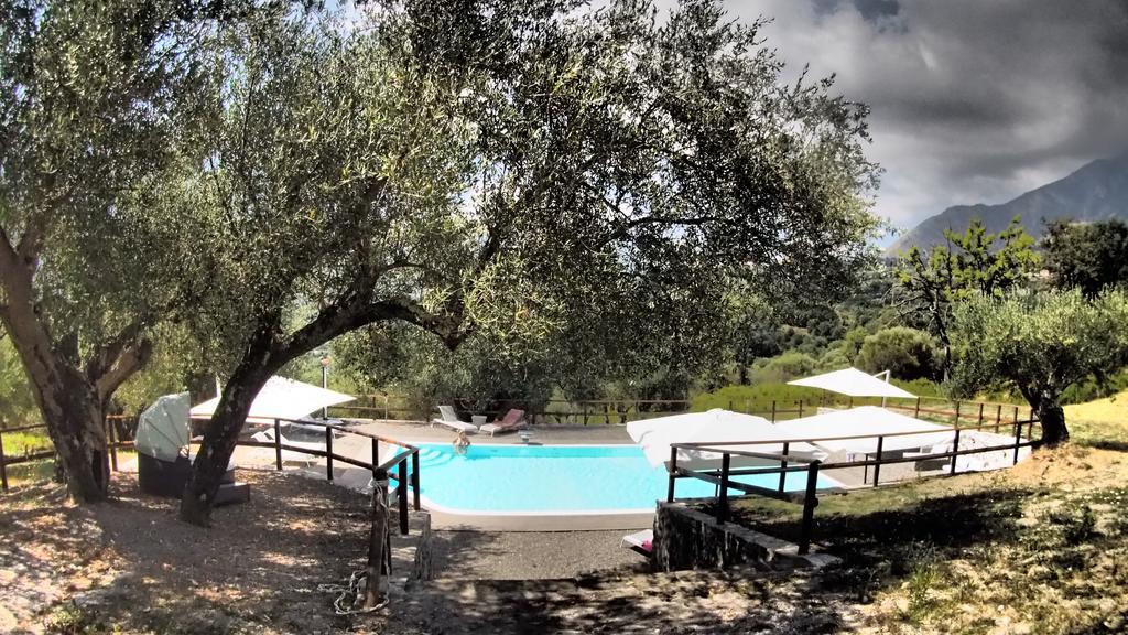 Tenuta Terre Di Bosco Oasi Di Relax Nel Cilento San Giovanni a Piro Exteriör bild