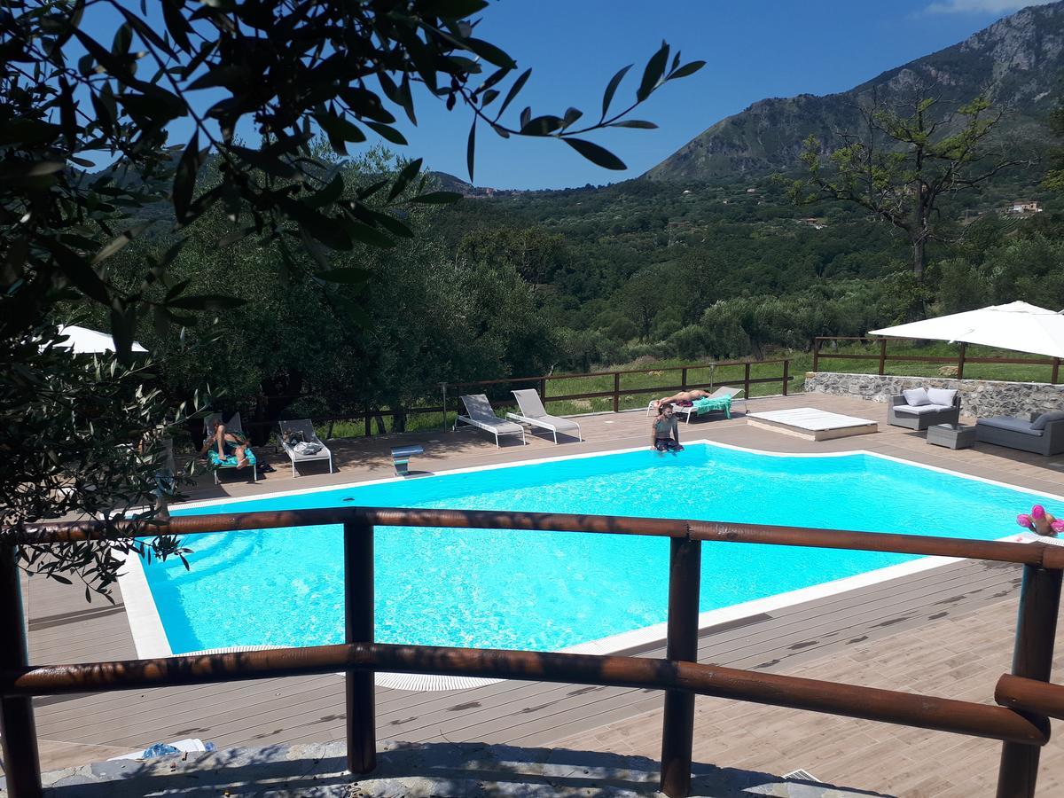 Tenuta Terre Di Bosco Oasi Di Relax Nel Cilento San Giovanni a Piro Exteriör bild